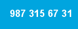 987 315 67 31